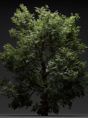 tree-for-landscape-vol-229-blender-3d-model-8a13ca8e7f