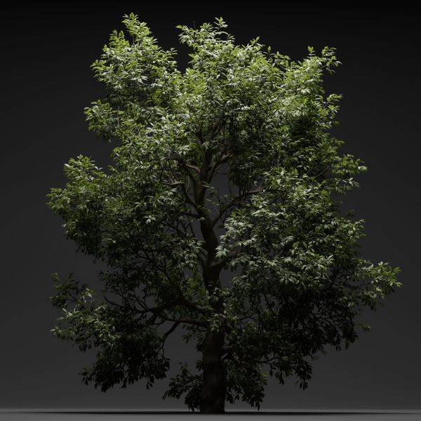 Tree for landscape vol 229-Blender