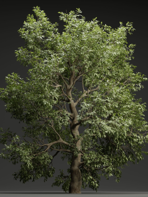 Tree for landscape vol 229-Blender