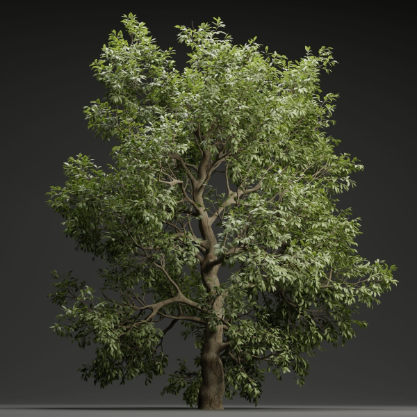Tree for landscape vol 229-Blender