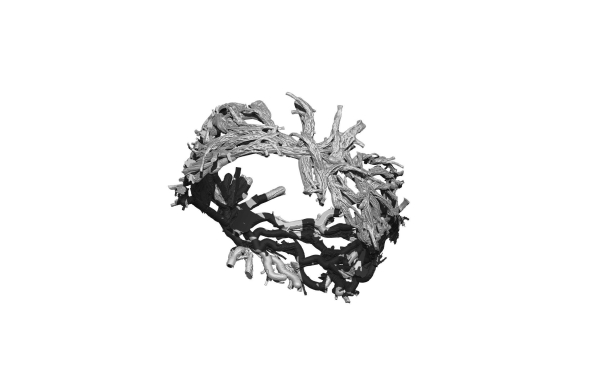Tree forest ring