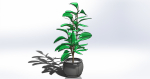 Tree model 1 plant in pot