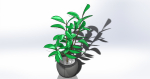 Tree model 1 plant in pot