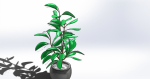 Tree model 1 plant in pot