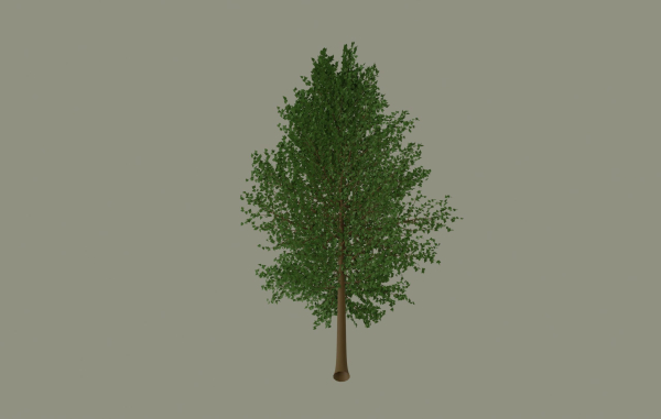 Tree model