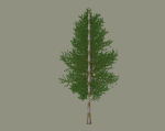 Tree model
