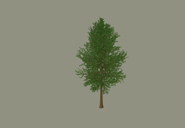 Tree model
