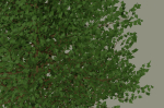 Tree model