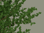 Tree model
