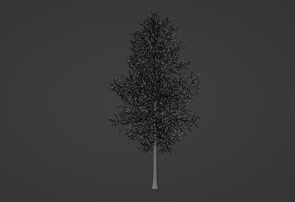 Tree model