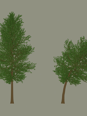 Tree model
