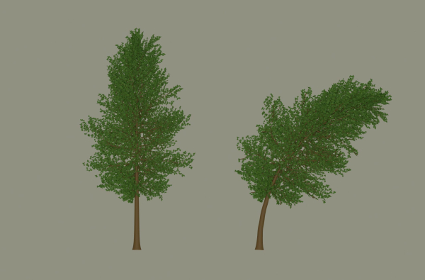 Tree model