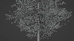 Tree model