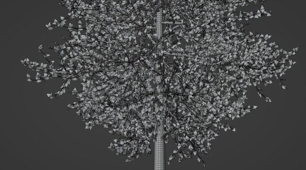Tree model