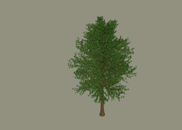 Tree model