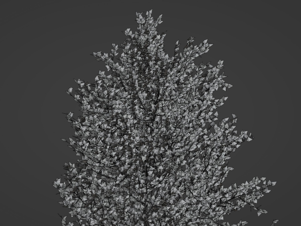Tree model