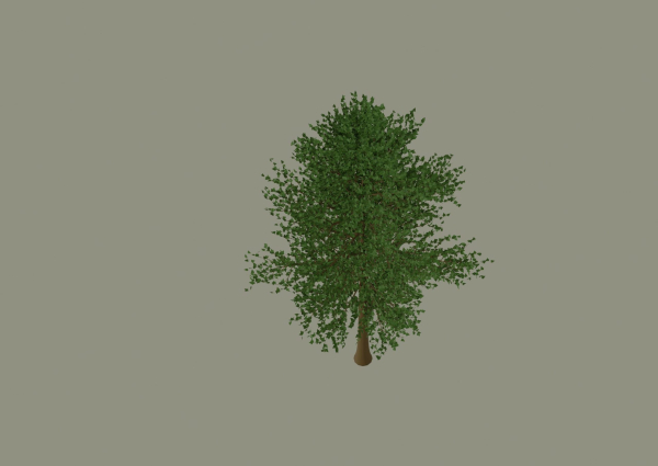 Tree model