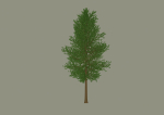 Tree model