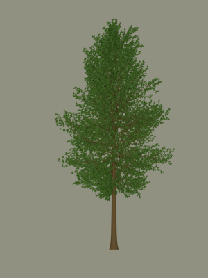 tree-model-3d-model-fc2d845800