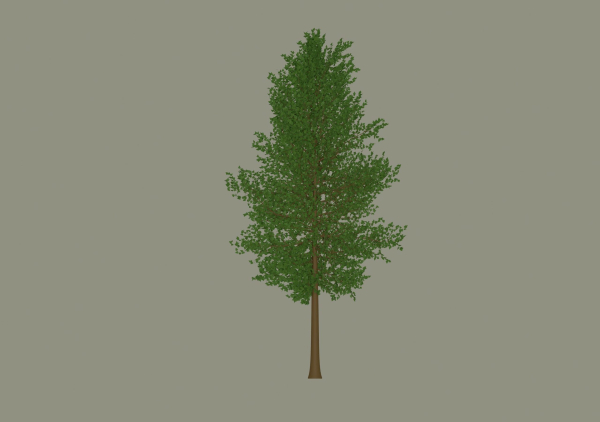 Tree model
