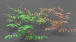Tree of Heaven Pack - 4 Variants