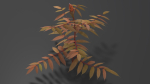 Tree of Heaven Pack - 4 Variants