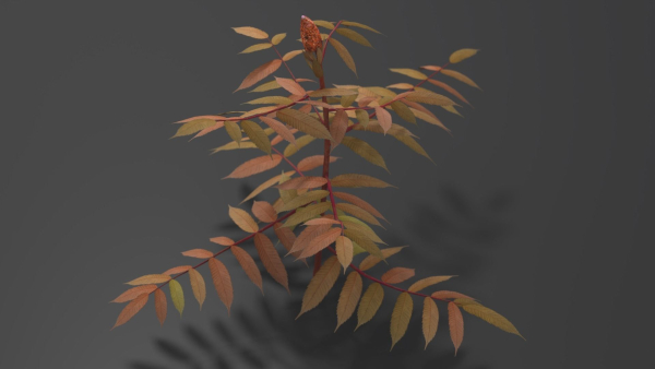 Tree of Heaven Pack - 4 Variants