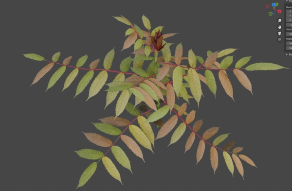 Tree of Heaven Pack - 4 Variants