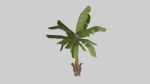 Tree set Low-poly 3D model