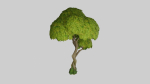 Tree set Low-poly 3D model