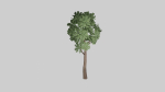 Tree set Low-poly 3D model