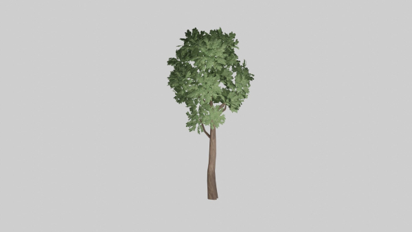 Tree set Low-poly 3D model