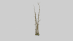Tree set Low-poly 3D model