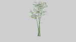 Tree set Low-poly 3D model