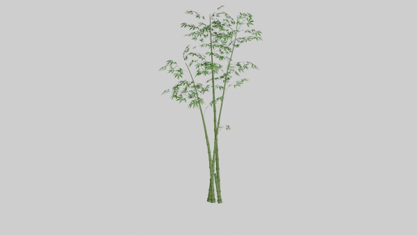 Tree set Low-poly 3D model