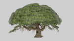 Tree set Low-poly 3D model