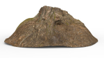 Tree Stump
