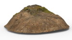 Tree Stump