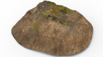Tree Stump