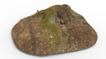 Tree Stump