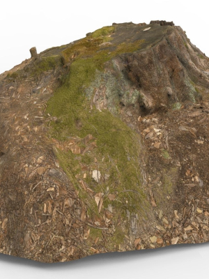 Tree Stump