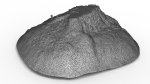 Tree Stump