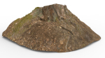 Tree Stump