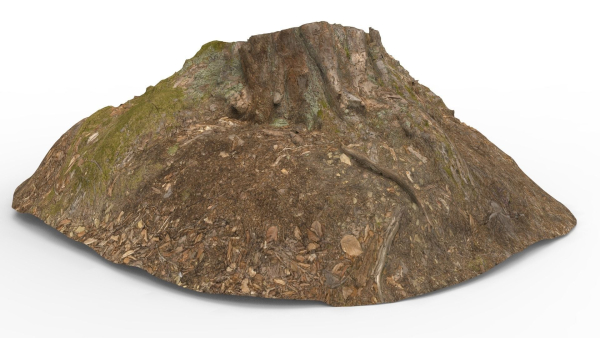 Tree Stump