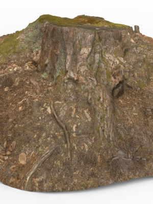 tree-stump-3d-model-c72fb45147