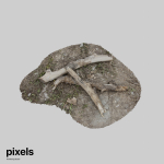 Tree Trunk 002