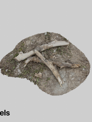 tree-trunk-002-3d-model-obj-3ds-fbx-stl-blend-dae