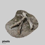 Tree Trunk 002