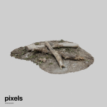 Tree Trunk 002
