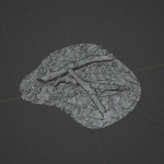 Tree Trunk 002